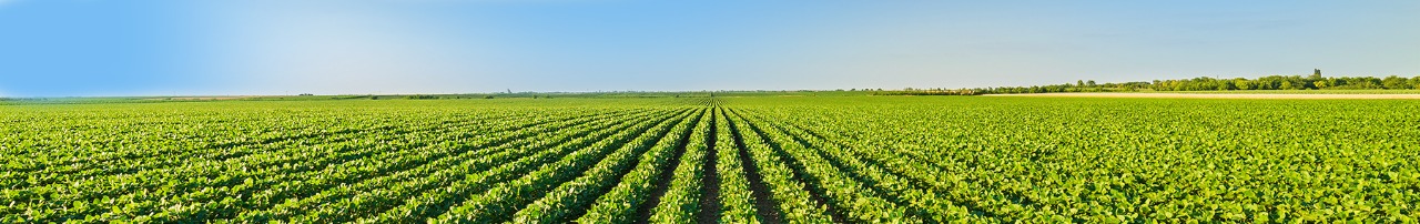 Excelência em Tecnologia de aplicação