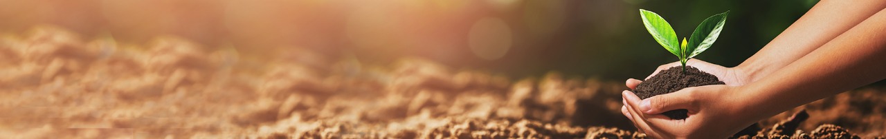 Excelência em Tecnologia de aplicação