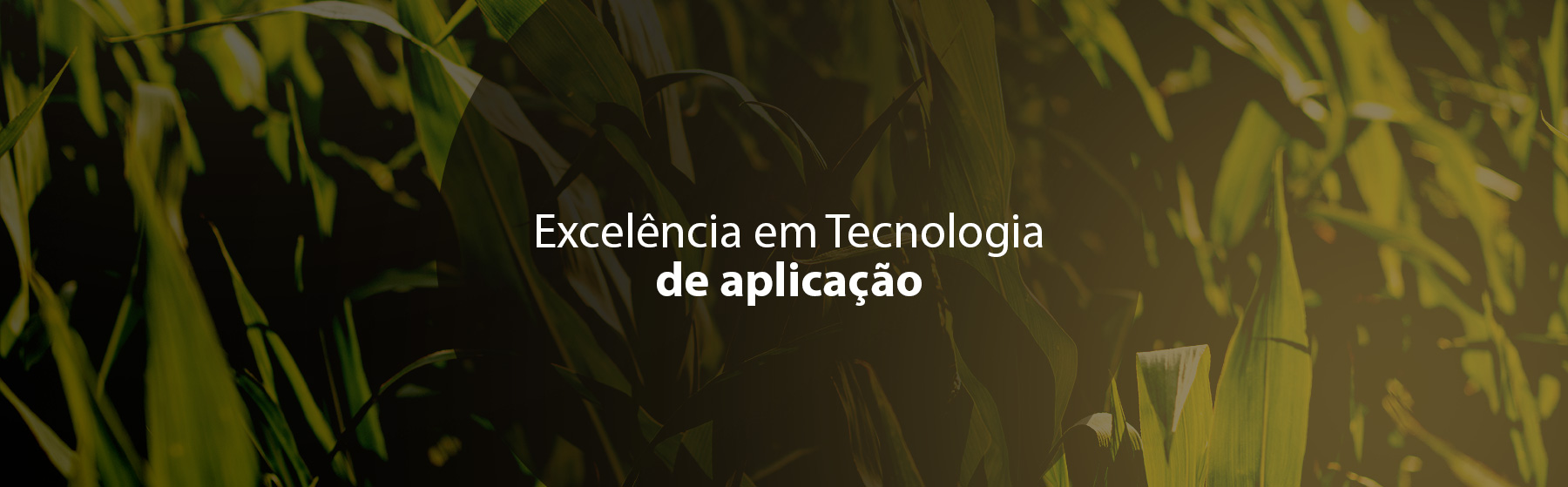 Excelência em Tecnologia de aplicação